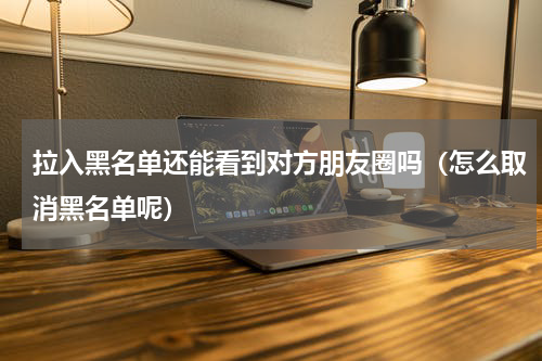 拉入黑名单还能看到对方朋友圈吗（怎么取消黑名单呢）