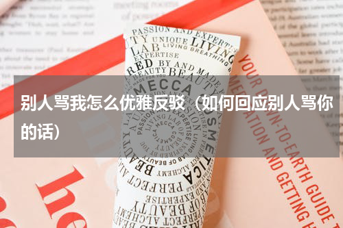 别人骂我怎么优雅反驳（如何回应别人骂你的话）