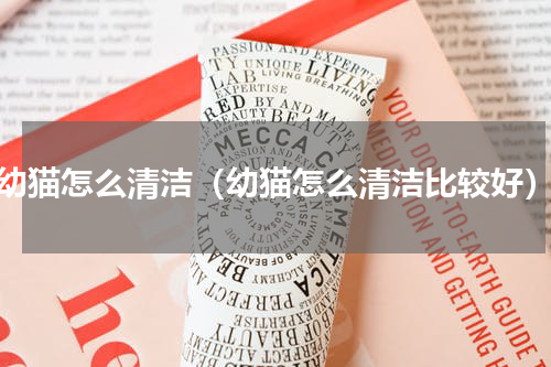 幼猫怎么清洁（幼猫怎么清洁比较好）