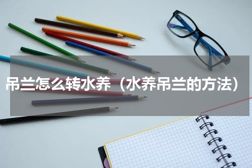 吊兰怎么转水养（水养吊兰的方法）