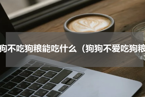 狗狗不吃狗粮能吃什么（狗狗不爱吃狗粮）