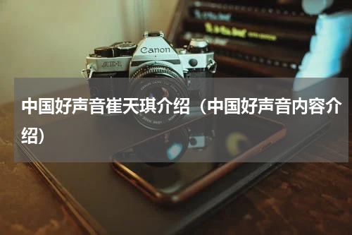 中国好声音崔天琪介绍（中国好声音内容介绍）