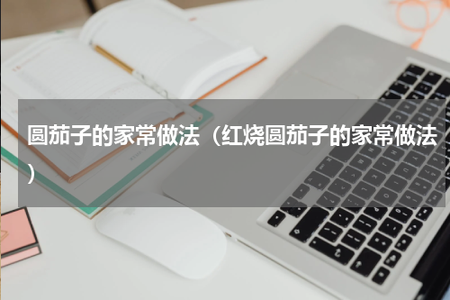 圆茄子的家常做法（红烧圆茄子的家常做法）
