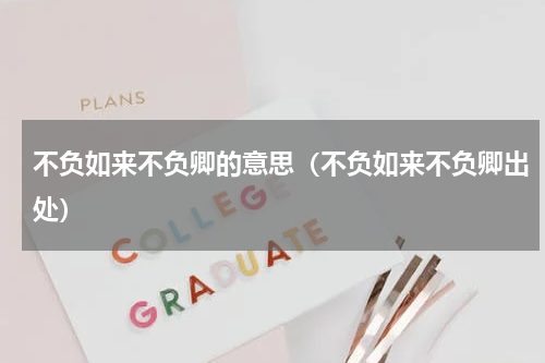 不负如来不负卿的意思（不负如来不负卿出处）