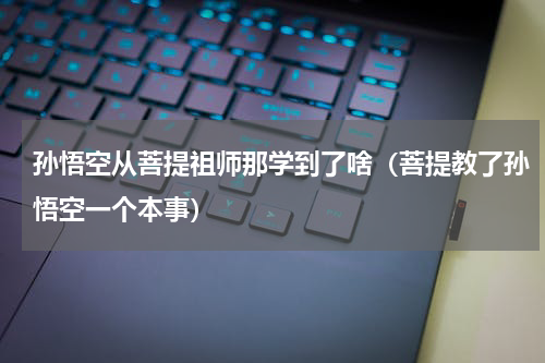 孙悟空从菩提祖师那学到了啥（菩提教了孙悟空一个本事）