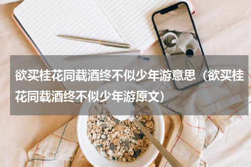 欲买桂花同载酒终不似少年游意思（欲买桂花同载酒终不似少年游原文）