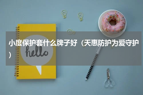 小度保护套什么牌子好（天惠防护为爱守护）