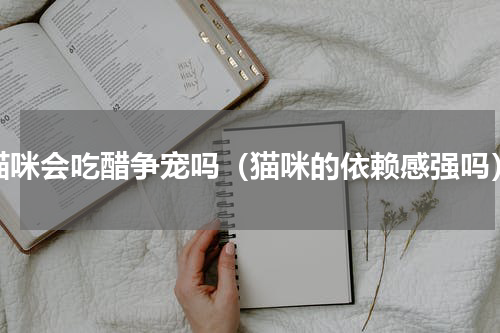 猫咪会吃醋争宠吗（猫咪的依赖感强吗）