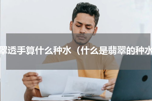 翡翠透手算什么种水（什么是翡翠的种水）