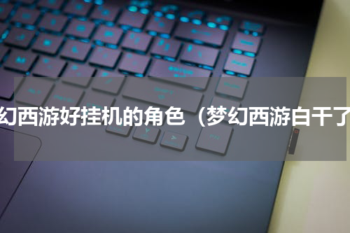 梦幻西游好挂机的角色（梦幻西游白干了）