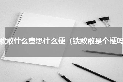 铁敢敢什么意思什么梗（铁敢敢是个梗吗）