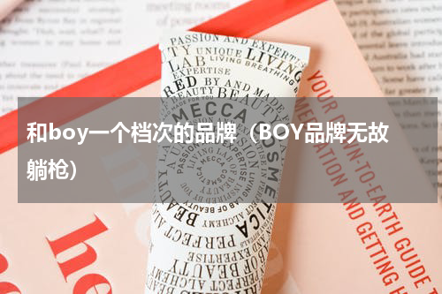 和boy一个档次的品牌（BOY品牌无故躺枪）