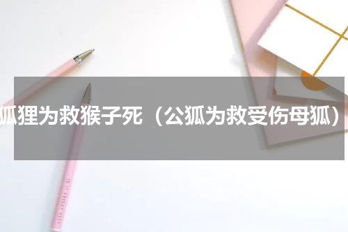 狐狸为救猴子死（公狐为救受伤母狐）