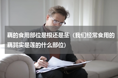 藕的食用部位是根还是茎（我们经常食用的藕其实是莲的什么部位）