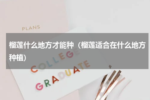 榴莲什么地方才能种（榴莲适合在什么地方种植）