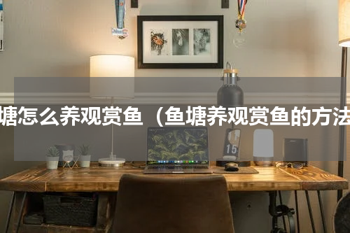 鱼塘怎么养观赏鱼（鱼塘养观赏鱼的方法）