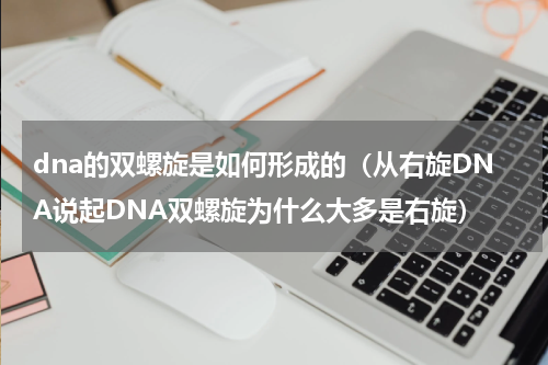 dna的双螺旋是如何形成的（从右旋DNA说起DNA双螺旋为什么大多是右旋）