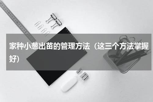 家种小葱出苗的管理方法（这三个方法掌握好）