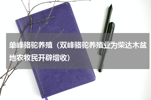 单峰骆驼养殖（双峰骆驼养殖业为柴达木盆地农牧民开辟增收）