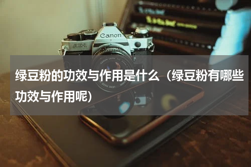 绿豆粉的功效与作用是什么（绿豆粉有哪些功效与作用呢）