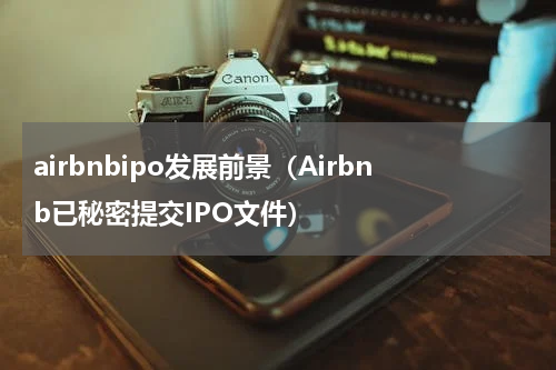 airbnbipo发展前景（Airbnb已秘密提交IPO文件）