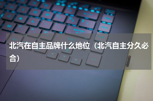 北汽在自主品牌什么地位（北汽自主分久必合）