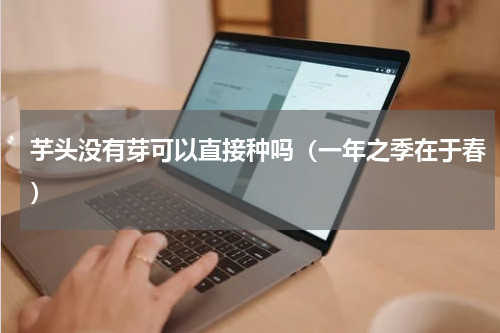芋头没有芽可以直接种吗（一年之季在于春）