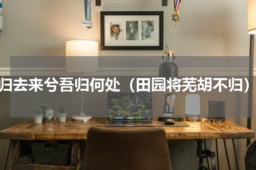 归去来兮吾归何处（田园将芜胡不归）