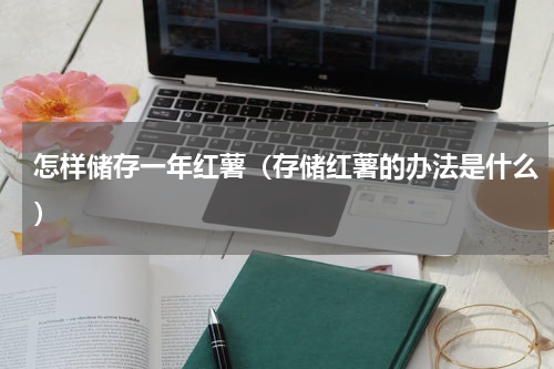 怎样储存一年红薯（存储红薯的办法是什么）