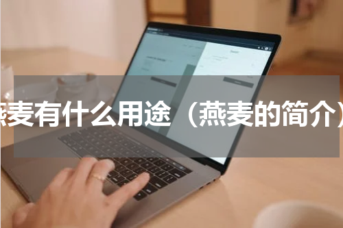 燕麦有什么用途（燕麦的简介）