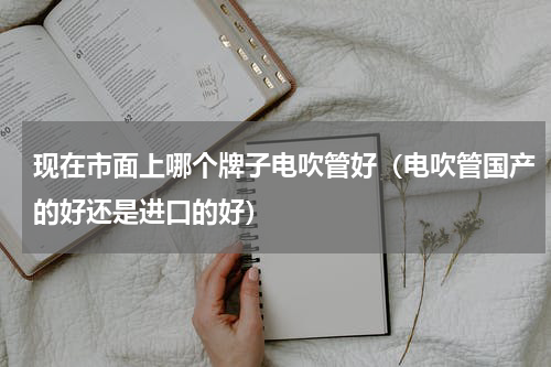 现在市面上哪个牌子电吹管好（电吹管国产的好还是进口的好）