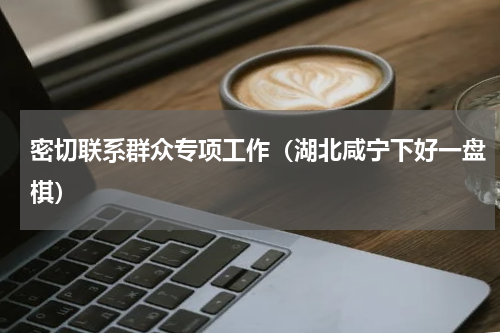 密切联系群众专项工作（湖北咸宁下好一盘棋）