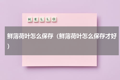 鲜薄荷叶怎么保存（鲜薄荷叶怎么保存才好）