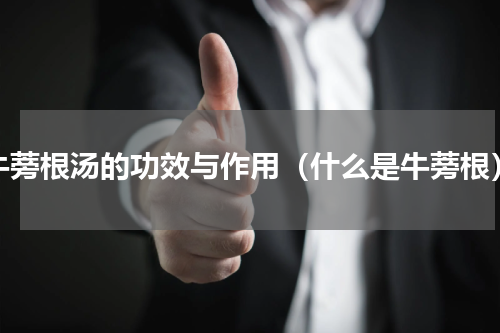 牛蒡根汤的功效与作用（什么是牛蒡根）