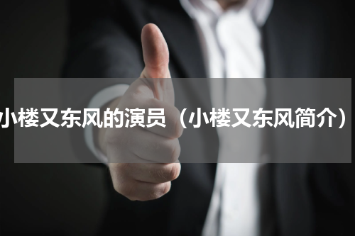 小楼又东风的演员（小楼又东风简介）