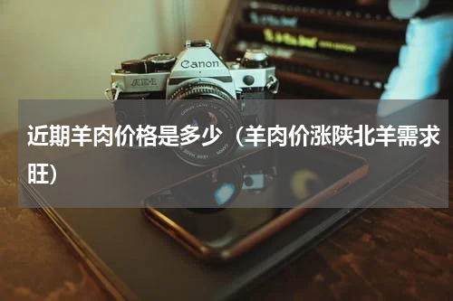 近期羊肉价格是多少（羊肉价涨陕北羊需求旺）