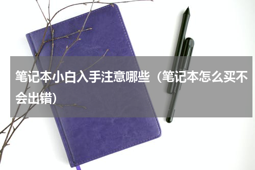 笔记本小白入手注意哪些（笔记本怎么买不会出错）