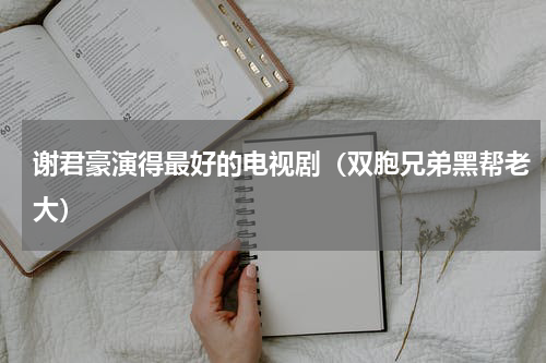 谢君豪演得最好的电视剧（双胞兄弟黑帮老大）