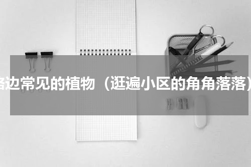 路边常见的植物（逛遍小区的角角落落）