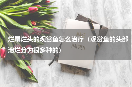 烂尾烂头的观赏鱼怎么治疗（观赏鱼的头部溃烂分为很多种的）