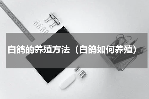 白鸽的养殖方法（白鸽如何养殖）