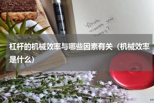 杠杆的机械效率与哪些因素有关（机械效率是什么）