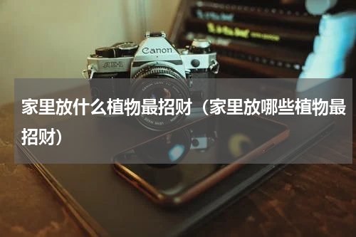 家里放什么植物最招财（家里放哪些植物最招财）
