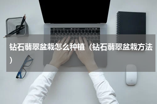 钻石翡翠盆栽怎么种植（钻石翡翠盆栽方法）