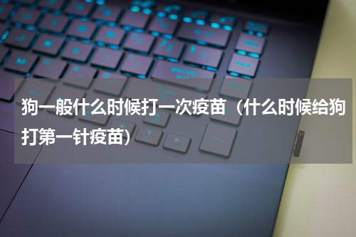 狗一般什么时候打一次疫苗（什么时候给狗打第一针疫苗）