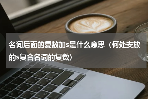 名词后面的复数加s是什么意思（何处安放的s复合名词的复数）