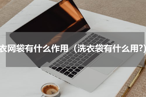 洗衣网袋有什么作用（洗衣袋有什么用?）