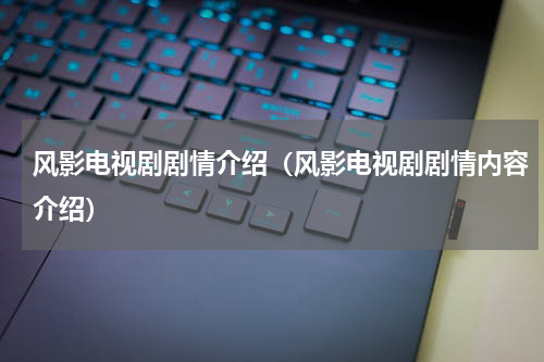 风影电视剧剧情介绍（风影电视剧剧情内容介绍）
