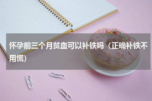 怀孕前三个月贫血可以补铁吗（正确补铁不用慌）