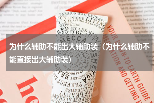 为什么辅助不能出大辅助装（为什么辅助不能直接出大辅助装）